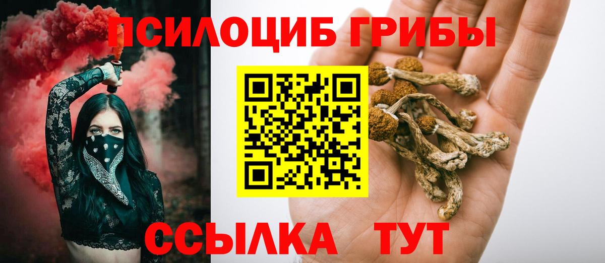 Галлюциногенные грибы Psilocybe  Вход с VPN  Галлюциногенные грибы Magic Shrooms  Бирск 